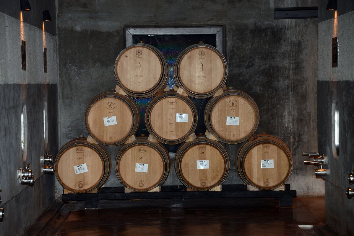 07-13 Wine Barrels In The Wine Cellar On Our Wine Tour At Pulenta Estate Lujan de Cuyo Tour Near Mendoza
